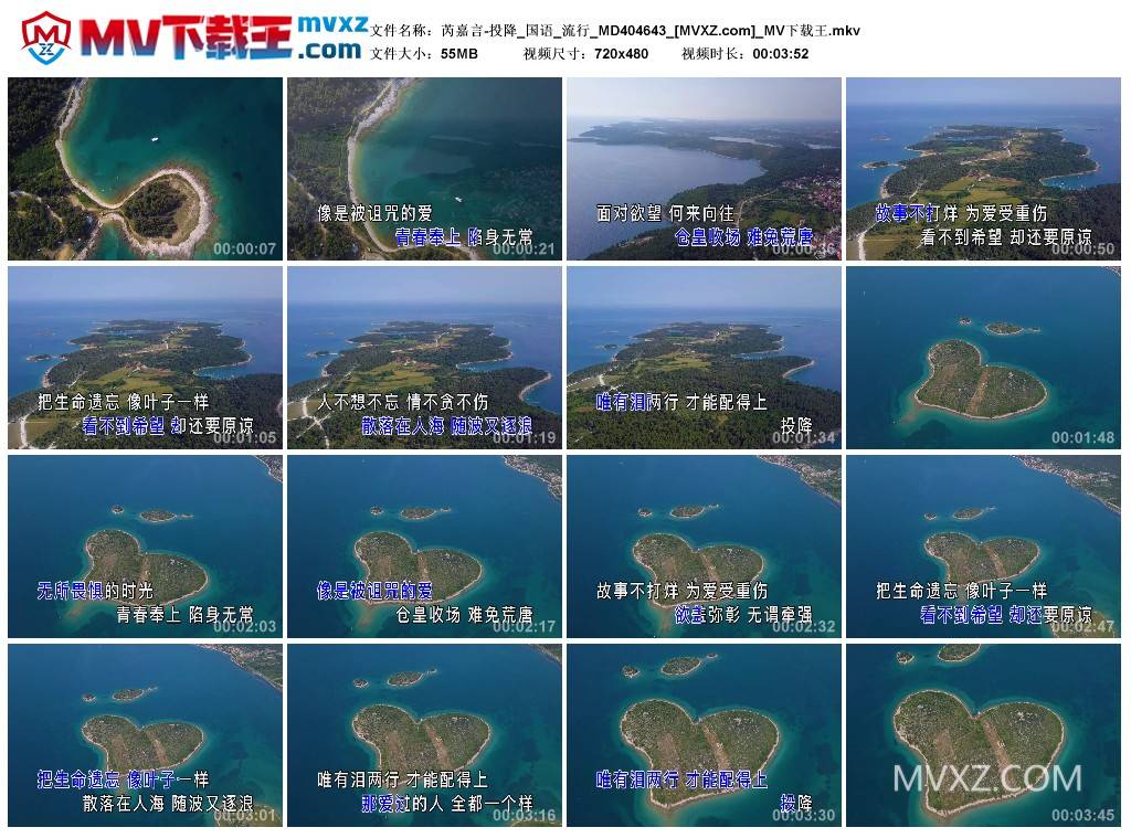 芮嘉言-投降_国语_流行_MD404643